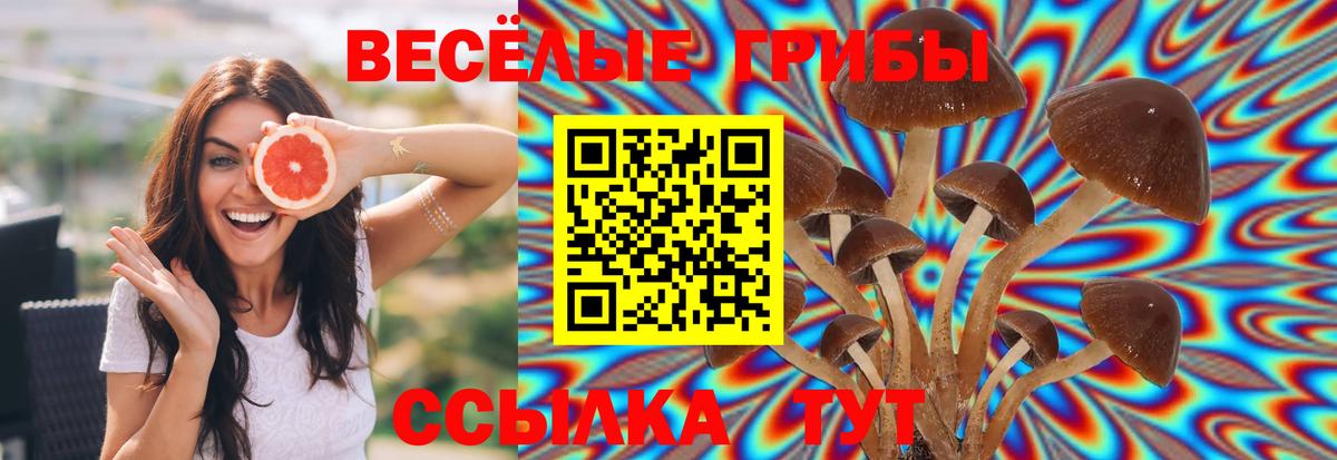 Карабулак  Псилоцибиновые грибы мухоморы  Вход с VPN  Псилоцибиновые грибы мухоморы 