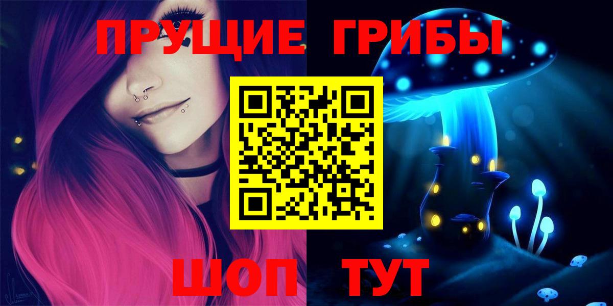 Галлюциногенные грибы Psilocybe Карабулак